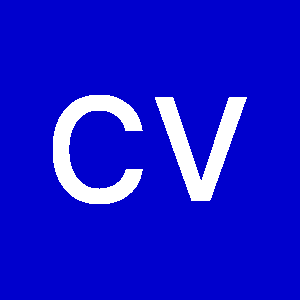 Fotografia de profil a lui Cristina Vasilescu